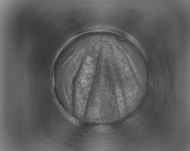 X0000073411368200608181044