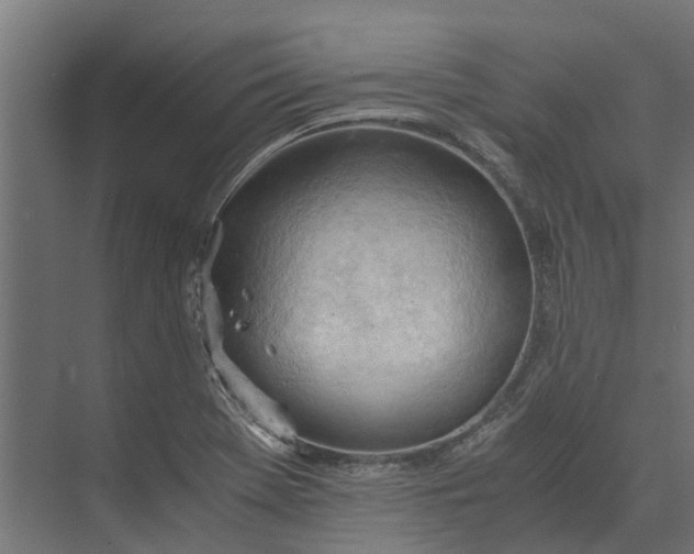 X0000073411369200608181044