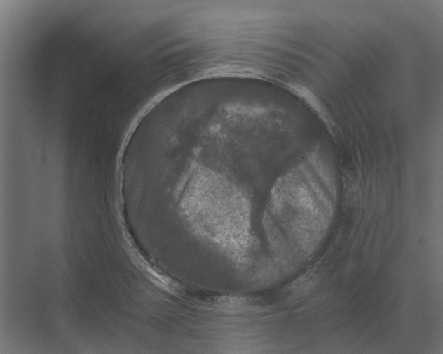 X0000073411371200608181044