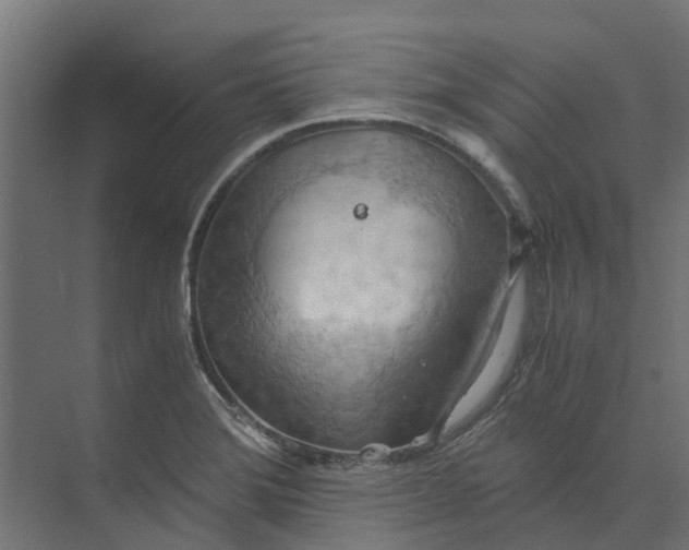 X0000073411372200608181044