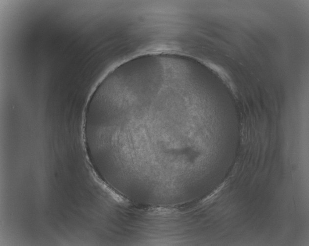 X0000073411374200608181044