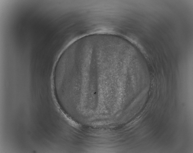 X0000073411375200608181044