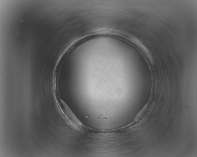 X0000073411376200608181044