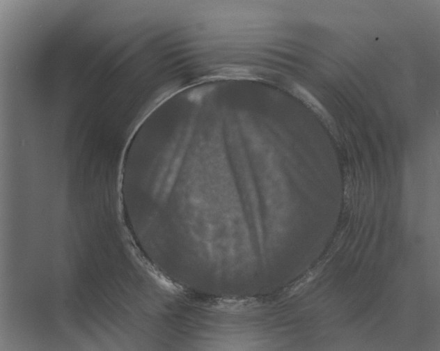 X0000073411378200608181044