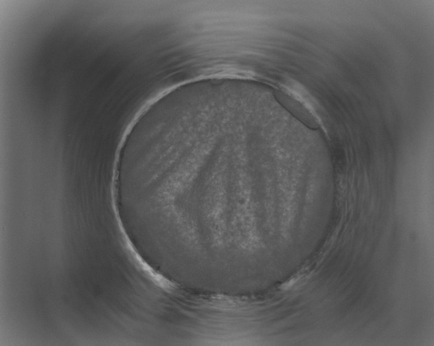 X0000073411379200608181044