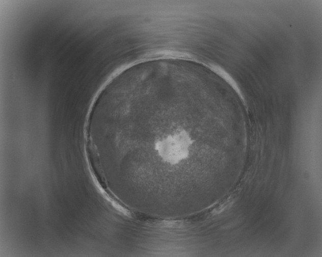 X0000073411381200608181044