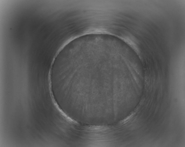 X0000073411382200608181044