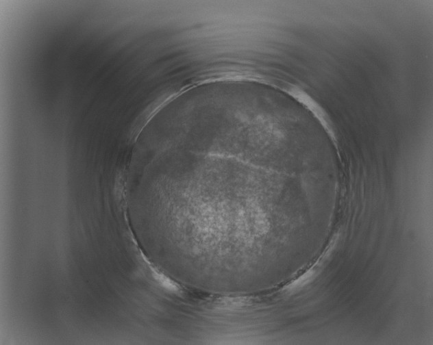 X0000073411385200608181044