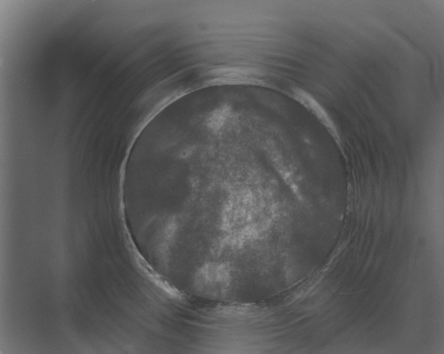 X0000073411386200608181044