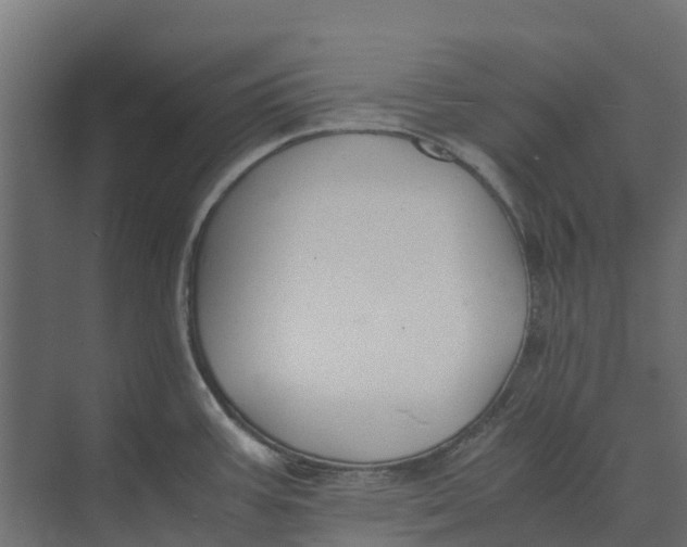 X0000073411387200608181044