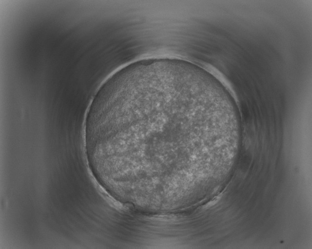 X0000073411388200608181044