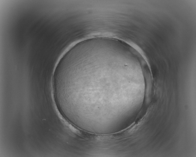 X0000073411389200608181044