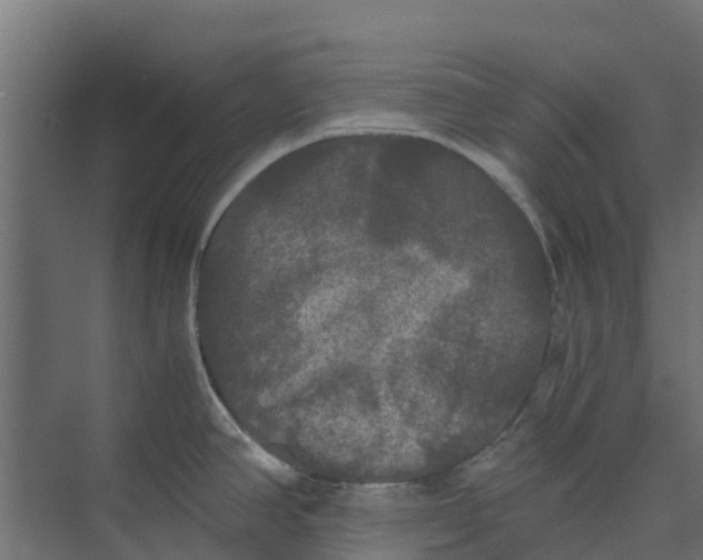 X0000073411390200608181044