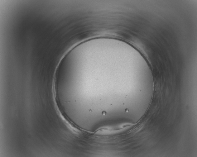 X0000073411391200608181044