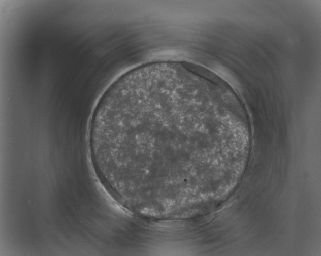 X0000073411392200608181044