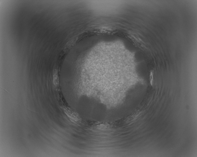 X0000073411395200608181043