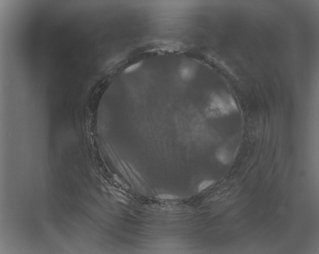 X0000073411399200608181043