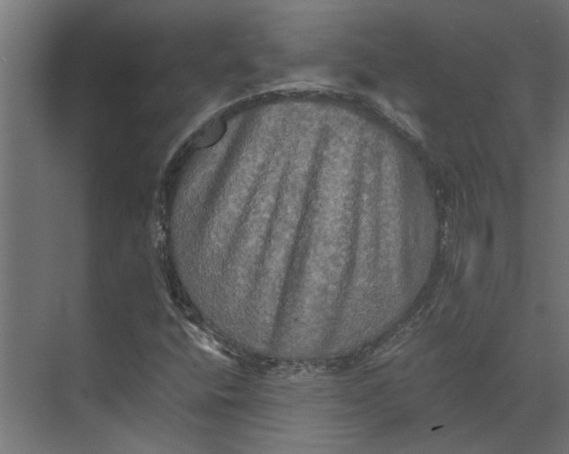 X0000073411400200608181043