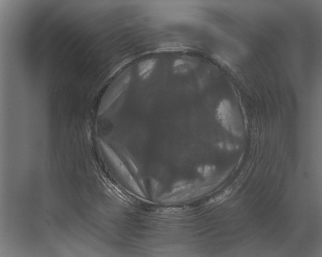 X0000073411401200608181043