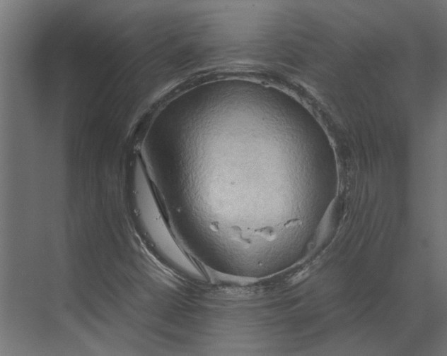 X0000073411402200608181043