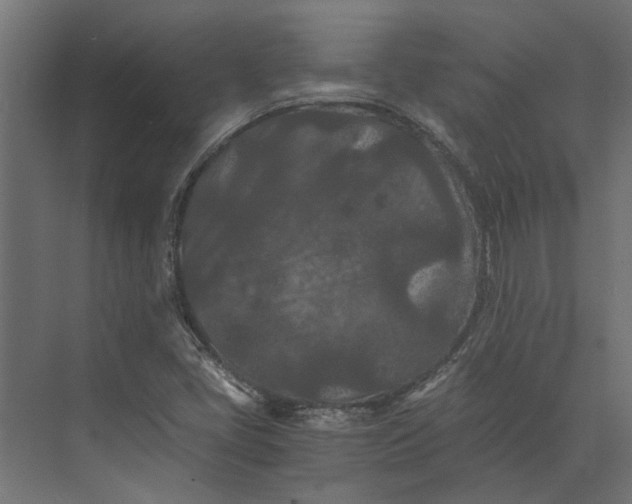 X0000073411405200608181043