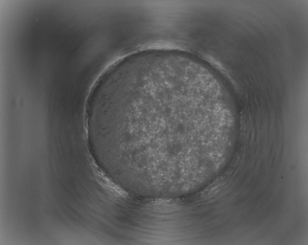 X0000073411408200608181043