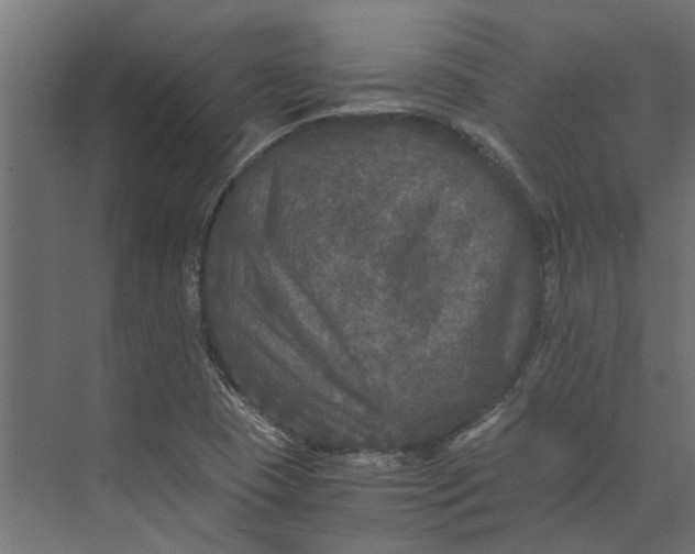 X0000073411409200608181043