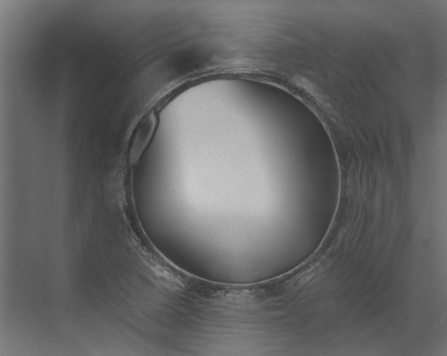 X0000073411410200608181043