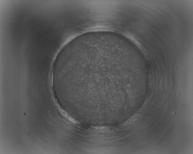 X0000073411413200608181043