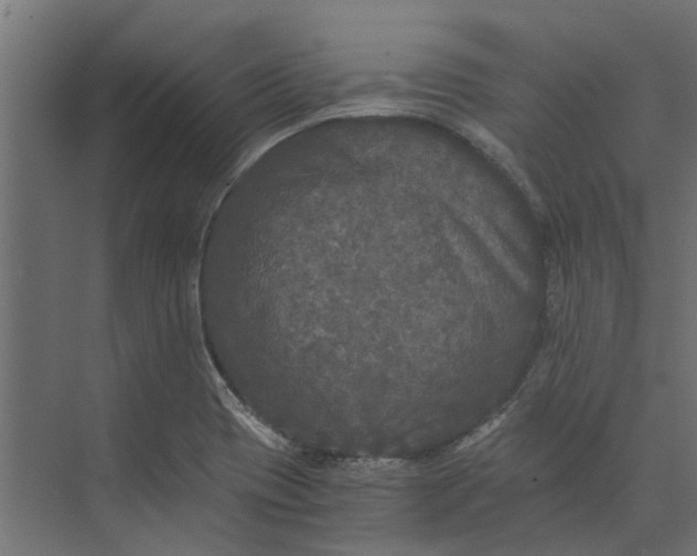 X0000073411417200608181043