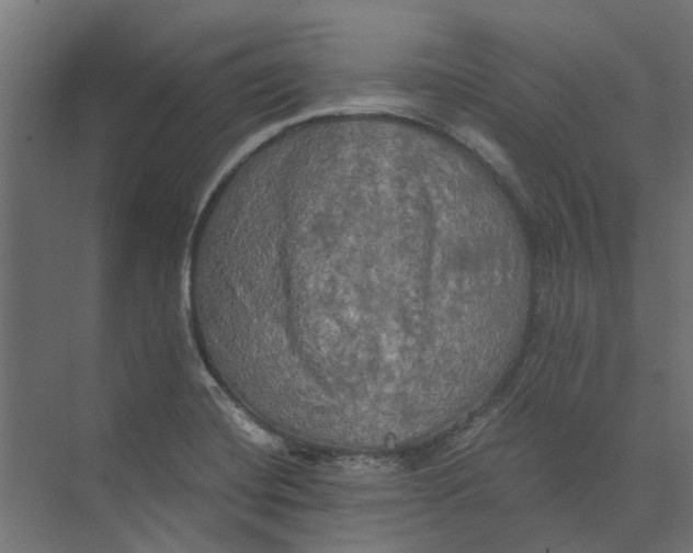 X0000073411420200608181043