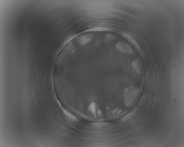 X0000073411425200608181043