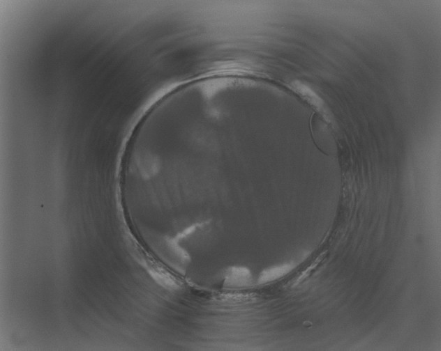 X0000073411427200608181043