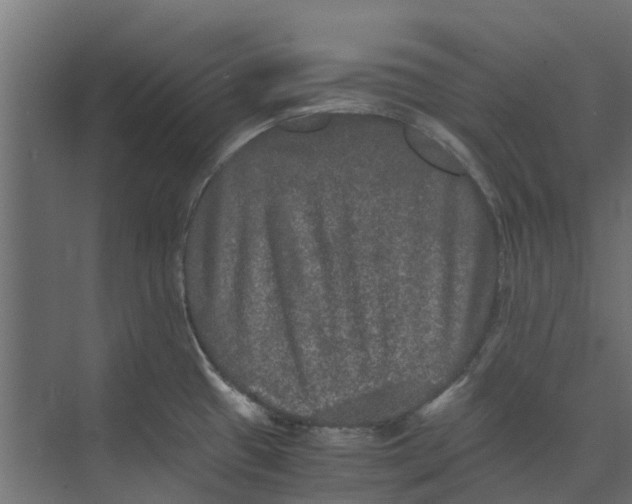 X0000073411433200608181044