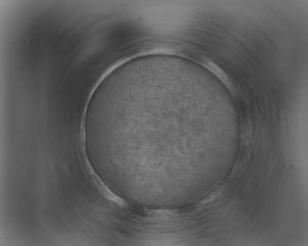 X0000073411436200608181044