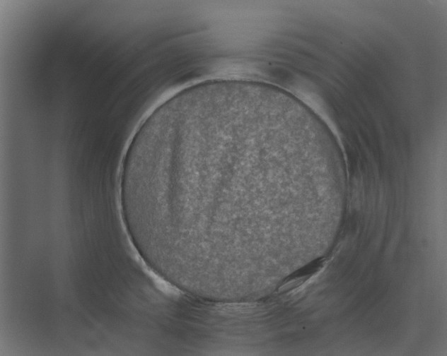 X0000073411437200608181044