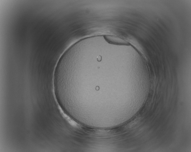 X0000073411439200608181044