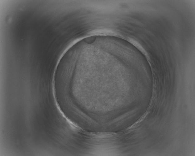 X0000073411440200608181044