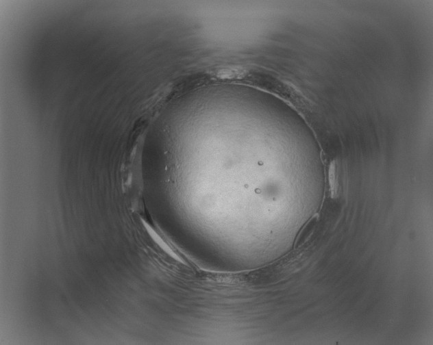 X0000073411443200608181043