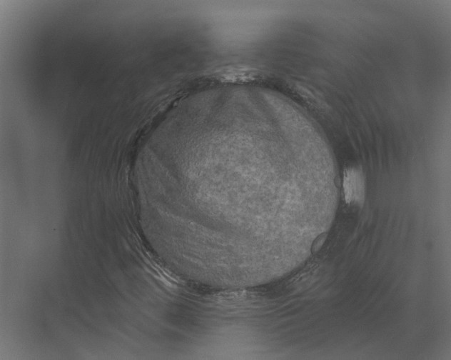 X0000073411444200608181043