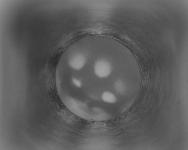 X0000073411446200608181043