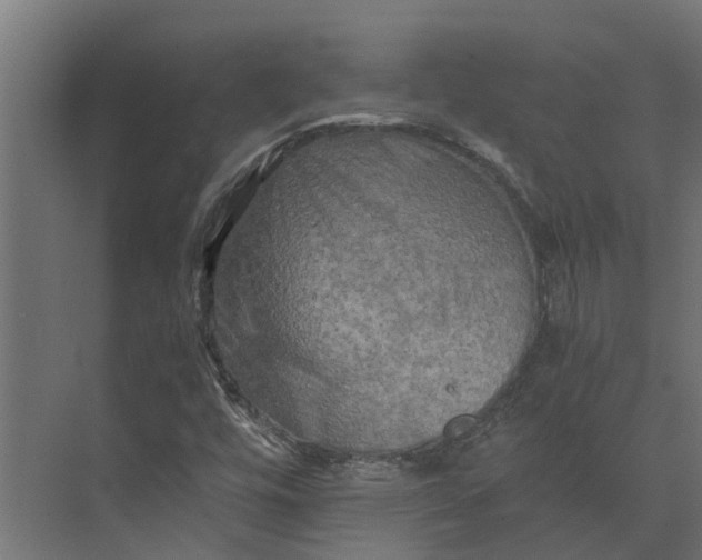 X0000073411448200608181043