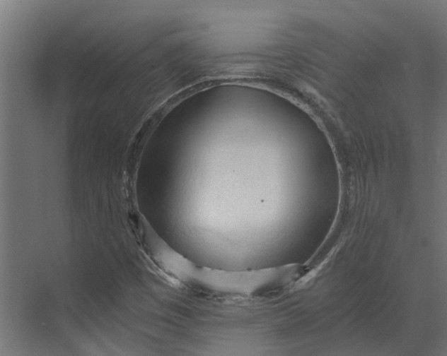 X0000073411449200608181043