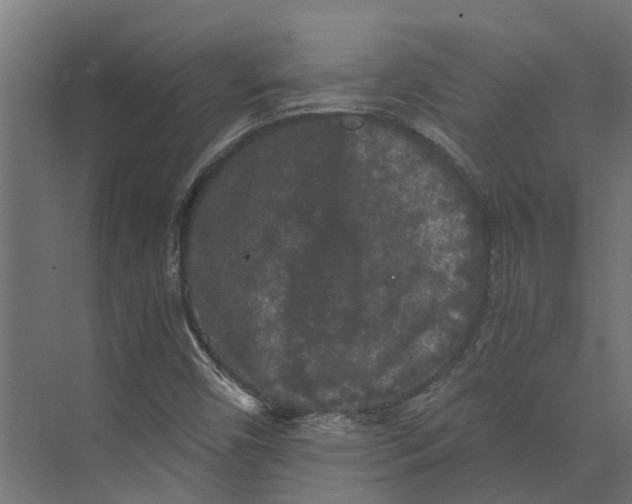 X0000073411450200608181043