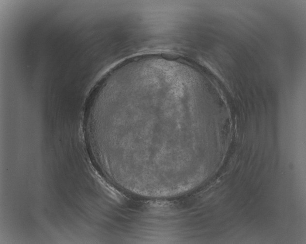 X0000073411452200608181043