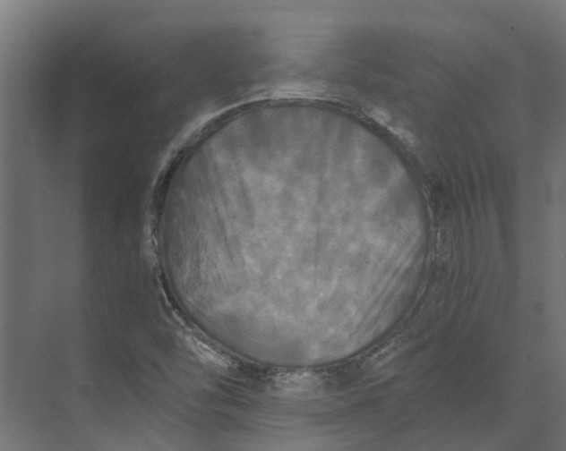 X0000073411454200608181043