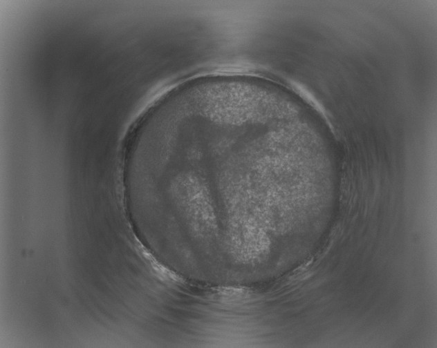 X0000073411456200608181043