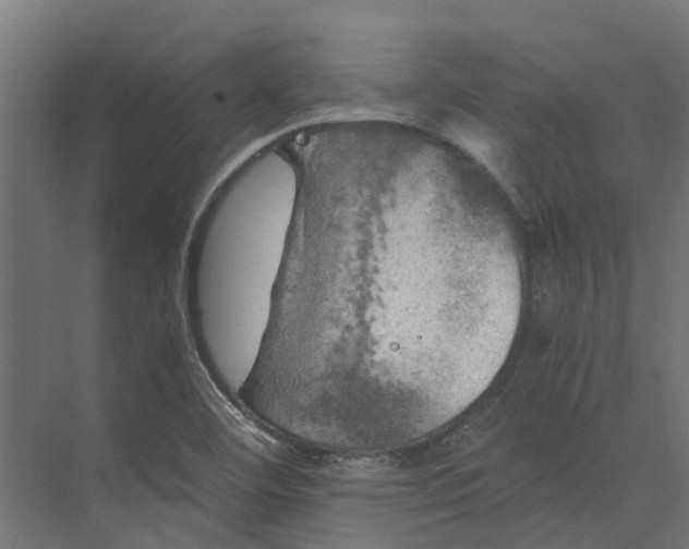 X0000073411460200608181043