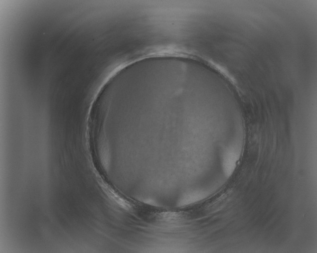 X0000073411463200608181043