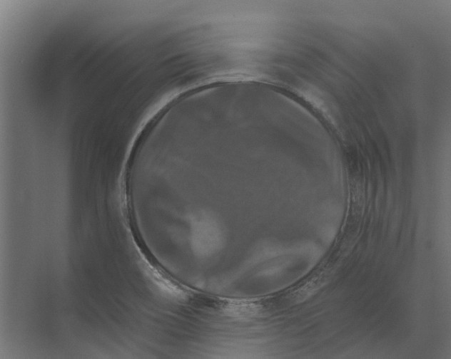 X0000073411466200608181042